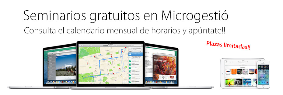 Seminarios gratuitos en Microgesti�